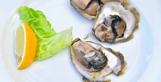 Half-day excursion to Ston (Oyster farm visit and tasting, Walls of Ston and Ston Saltworks)