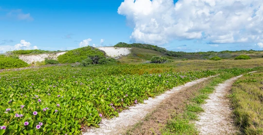 Promenade nature guidée sur l'île Assomption