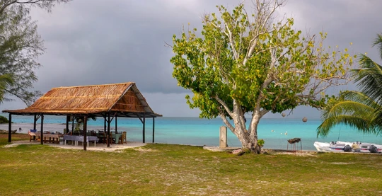 Découverte de l’atoll Farquhar