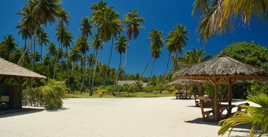 Découverte de l’île Alphonse