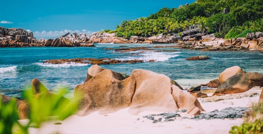 Excursion à l'île de La Digue