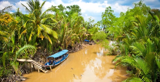 Découverte de marché flottant à Ben Tre