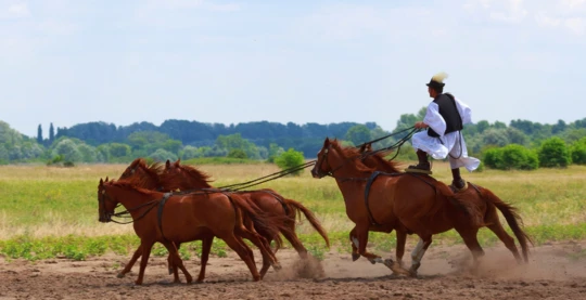 Escursione nella Puszta da/per Budapest