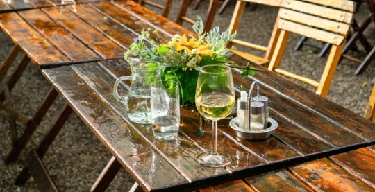 Escursione al Heurigen