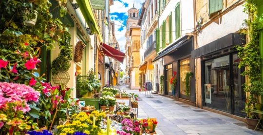 Visit of Arles and the Nativity figurine fair