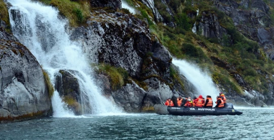 Observing Magellanic penguins and cormorants from zodiacs