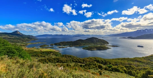 Hike through the Magellan forest to the viewpoint