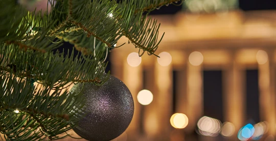 Residence of Würzburg and Christmas market