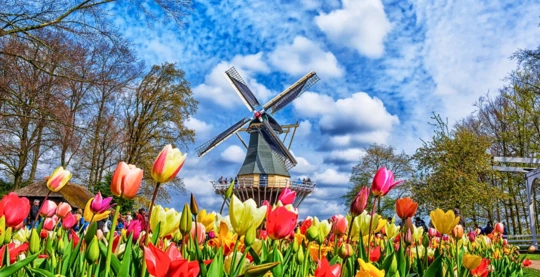 Escursione di mezza giornata a Keukenhof