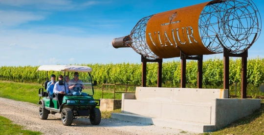 Château de Pálffy avec dégustation de vins et de bières