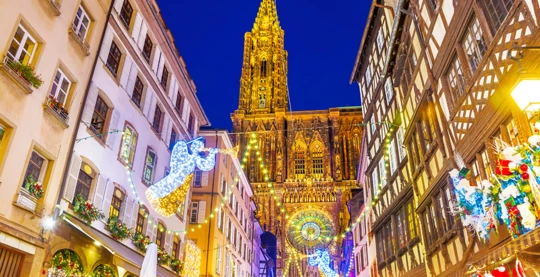 Panoramic tour of the European institutions and guided walking tour