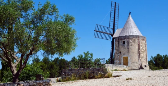 Besuch einer Ölmühle in der Provence