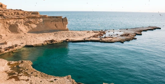 Visit to Puerto Madryn