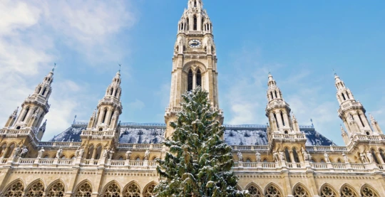 Visite guidée de la ville de Vienne en hiver