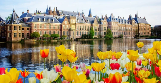 The Hague and the Mauritshuis
