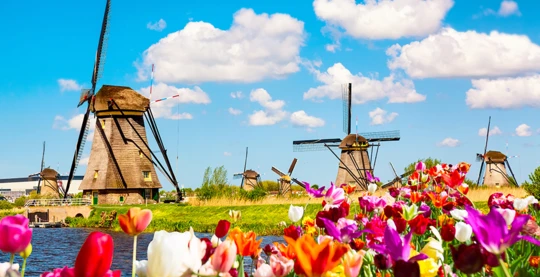 The windmills of Kinderdijk