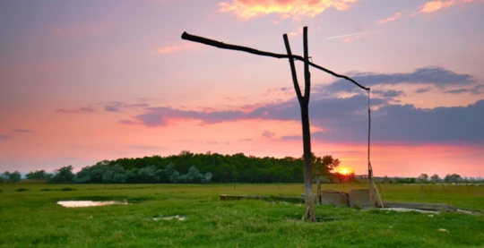Escursione nella Puszta con Kalocsa