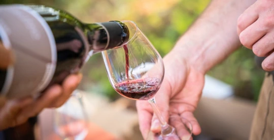 Dégustation privée à la cave Joseph Drouhin