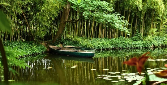 Visit to Latour-Marliac