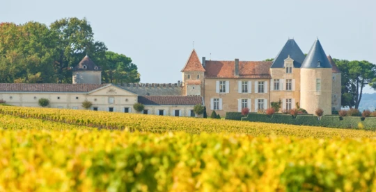Tour of Château d'Yquem