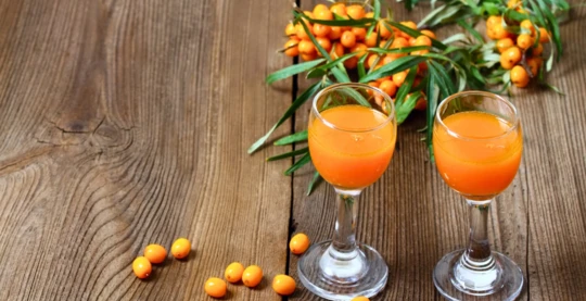 Sea buckthorn liqueur tasting