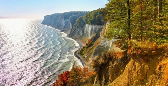 Viewing the chalk cliffs from the Skywalk
