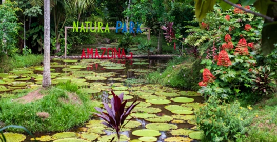 Tour of the city of Leticia and the ecological park