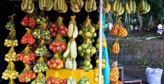 Visit to the Benjamin Constant market