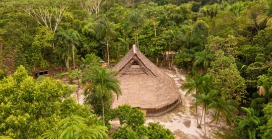 Walk through the forest to the maloca