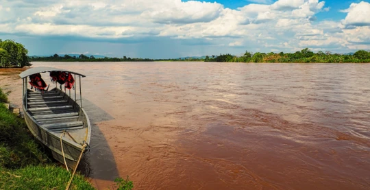 Exploring the Purus River by motorboat