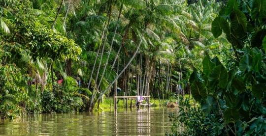 Observation expedition to the heart of the furo