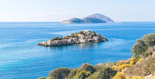 Swimming in a secluded cove