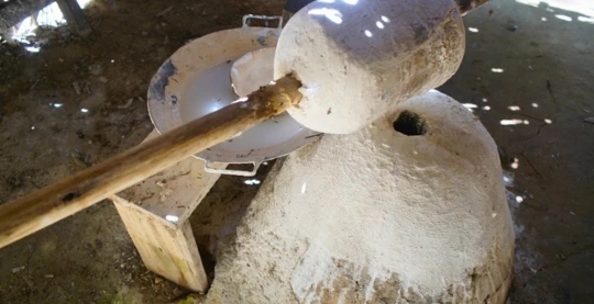 Visite du musée du caoutchouc