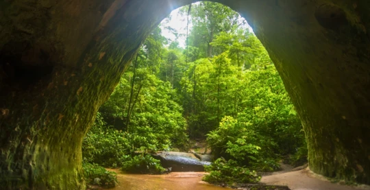 Marche en forêt en direction des grottes de Madadá