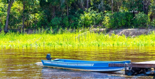 Observation de la faune en canot à moteur