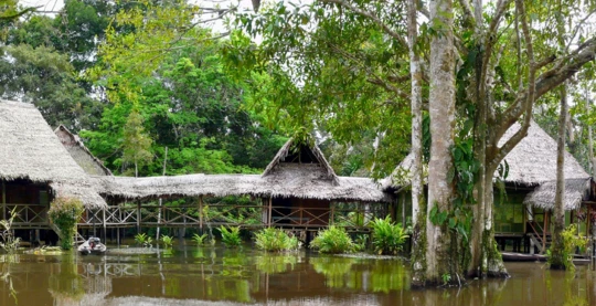 Visite d’une brasserie artisanale
