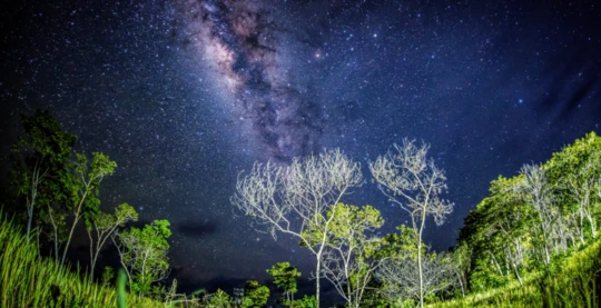 Expédition nocturne en canot