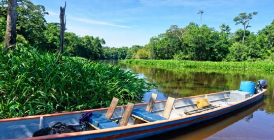 Exploration du lac Janauacá en canot