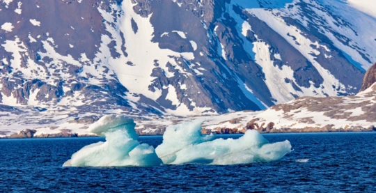Visite du glacier de Dahl