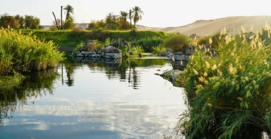 Baignade dans le Nil