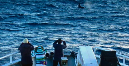 Introductory lectures on Antarctica