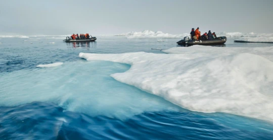 Excursions en zodiac