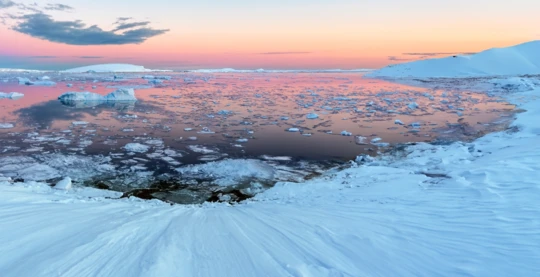 Discovering the ice floes of the Weddell Sea