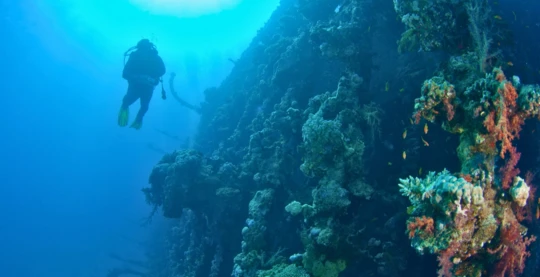 Plongée sur l’épave du Carnatic
