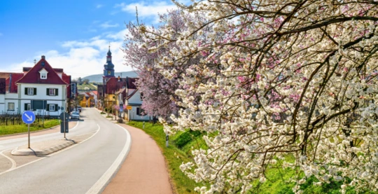 Visite à pied de Wormes