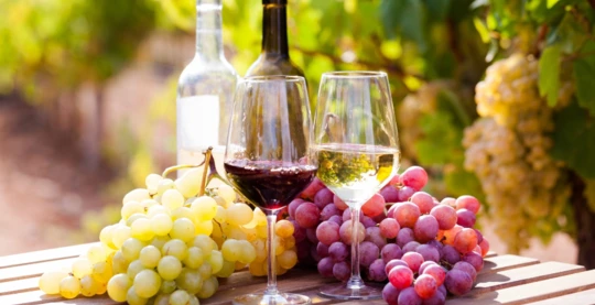 Weinverkostung bei Hauner