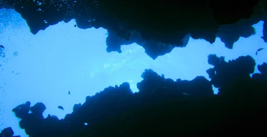 Plongée dans le Canyon