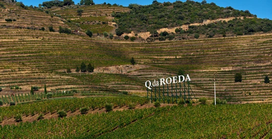 Lunch at Quinta Da Roêda