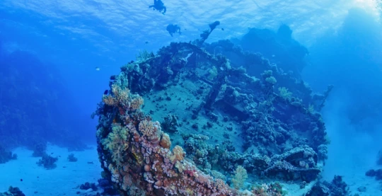 Plongées sur l'épave de Thistlegorm