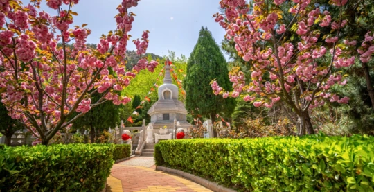 Journée d’excursion au parc national de Lushan
